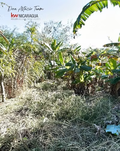 ¡En venta! Terreno plano a 2.7km del Mombacho, Diriomo, Granada.