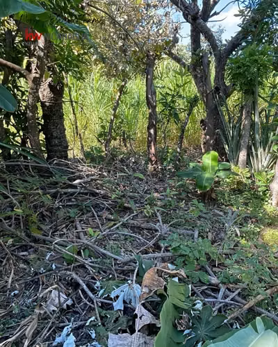 ¡En venta! Terreno plano a 2.7km del Mombacho, Diriomo, Granada.