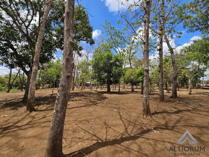 TERRENO CON CASA EN VENTA | MASAYA - Imagen 6
