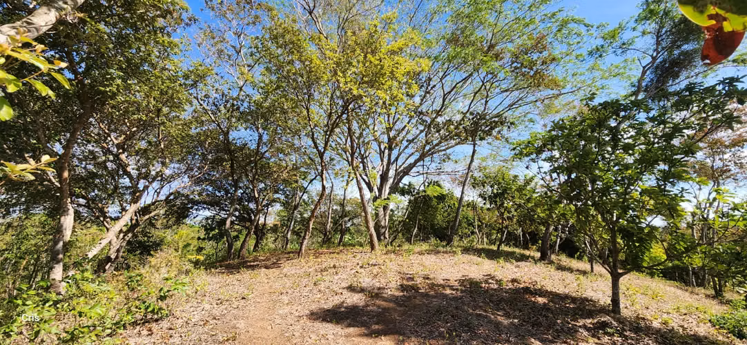 Venta de terreno en Niquinohomo - Imagen 16