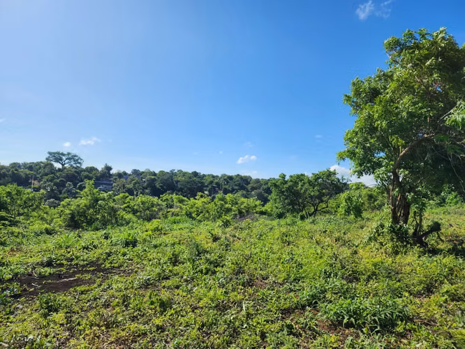 Venta de terreno en Carretera Sur - Imagen 3