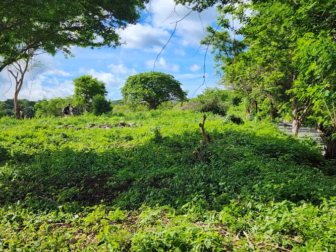 Venta de terreno en Carretera Sur