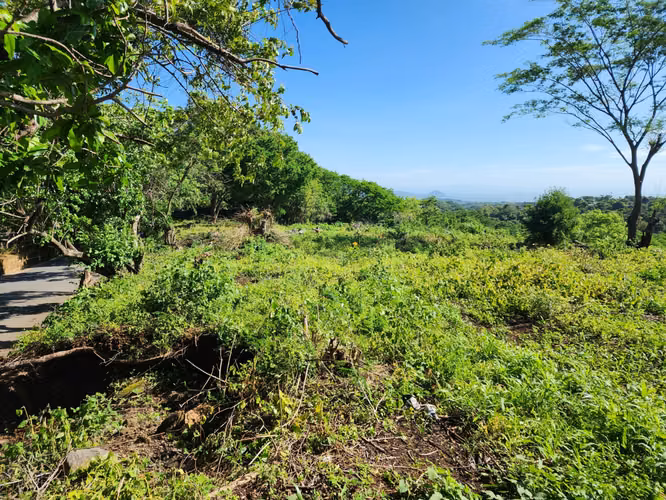 Venta de terreno en Carretera Sur - Imagen 4