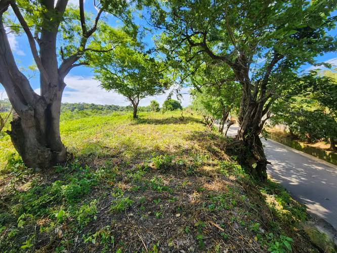 Venta de terreno en Carretera Sur - Imagen 13