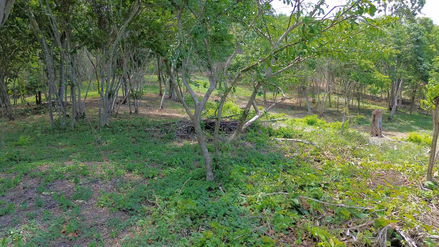 Mountain-View Lots at VIDA Project in Playa Yankee - Imagen 4