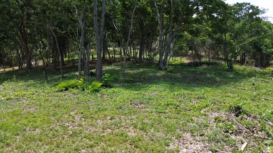 Mountain-View Lots at VIDA Project in Playa Yankee - Imagen 5