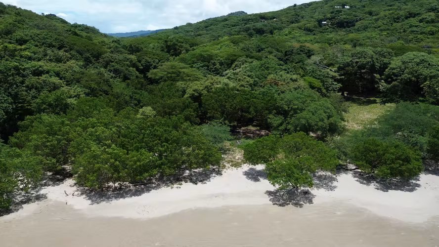Mountain-View Lots at VIDA Project in Playa Yankee - Imagen 3