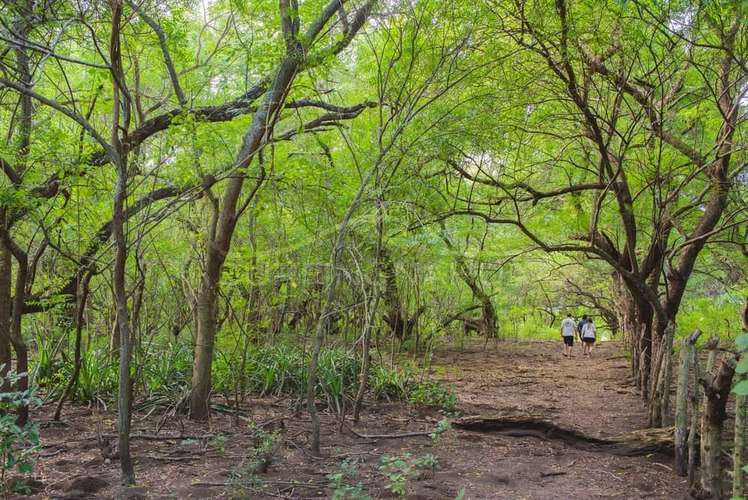 Hermosa Propiedades de Playa en venta en El Viejo, Chinandega