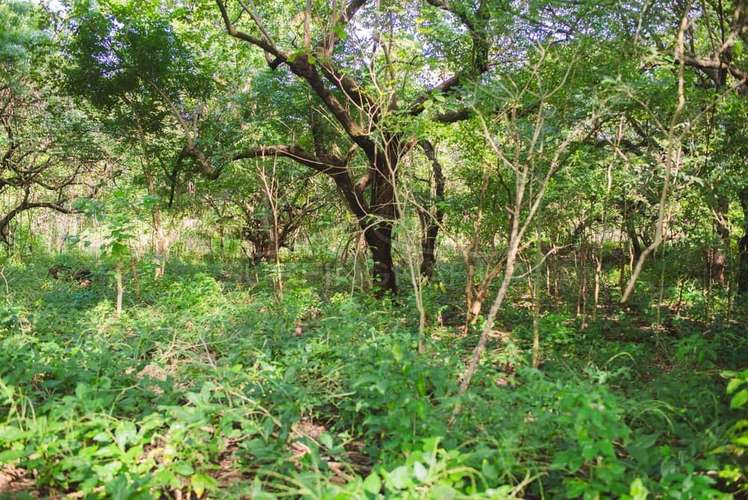 Hermosa Propiedades de Playa en venta en El Viejo, Chinandega