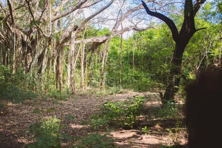 Hermosa Propiedades de Playa en venta en El Viejo, Chinandega