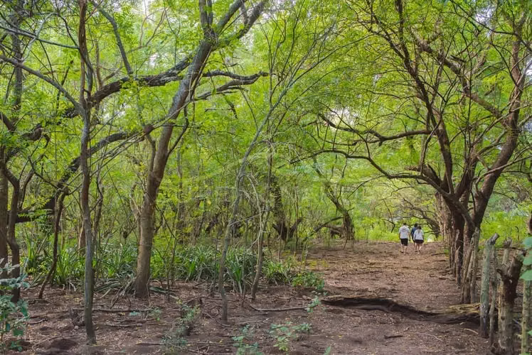 Hermosa Propiedades de Playa en venta en El Viejo, Chinandega