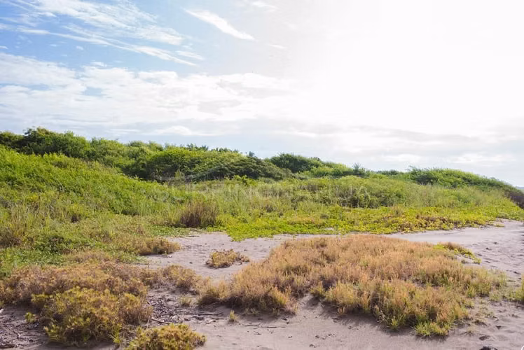 Hermosa Propiedades de Playa en venta en El Viejo, Chinandega - Imagen 10