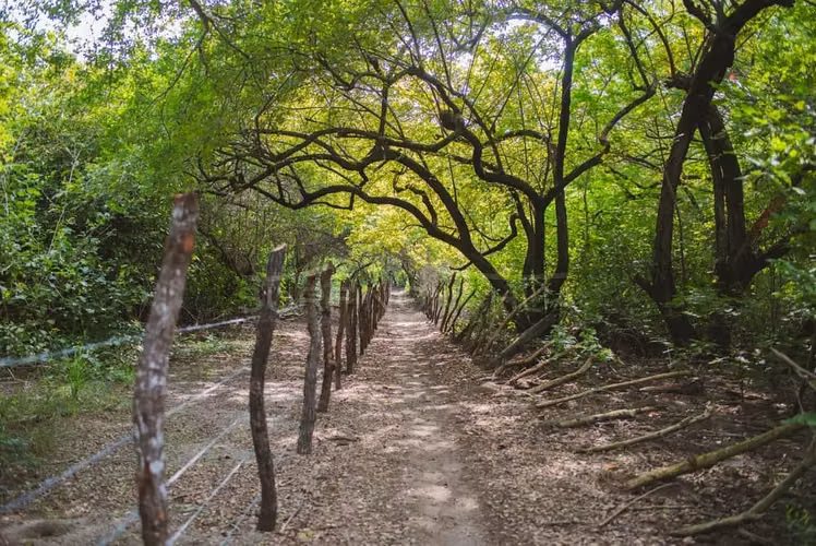 Hermosa Propiedades de Playa en venta en El Viejo, Chinandega