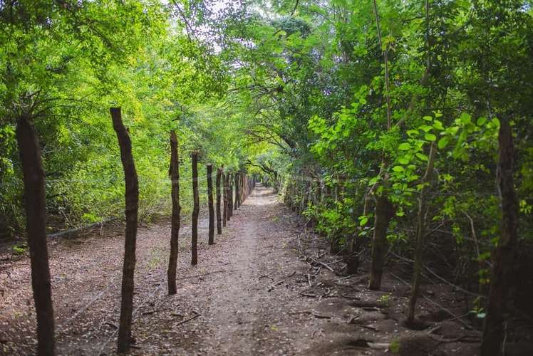 Hermosa Propiedades de Playa en venta en El Viejo, Chinandega