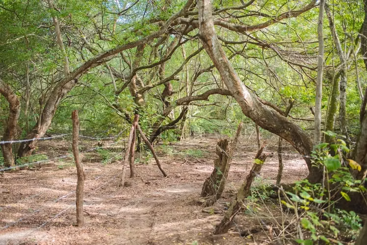 Hermosa Propiedades de Playa en venta en El Viejo, Chinandega