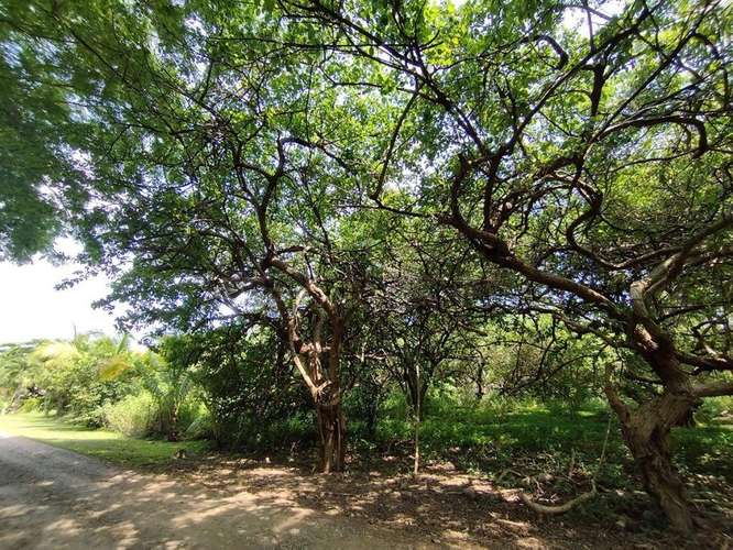 Atractiva Propiedades de Playa en venta en El Viejo, Chinandega