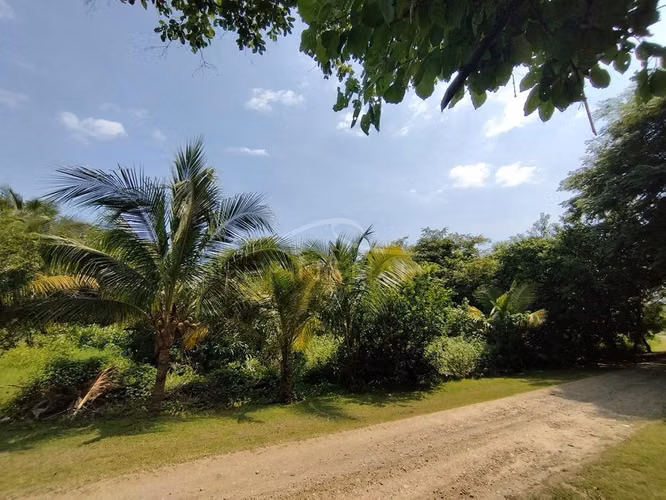 Atractiva Propiedades de Playa en venta en El Viejo, Chinandega