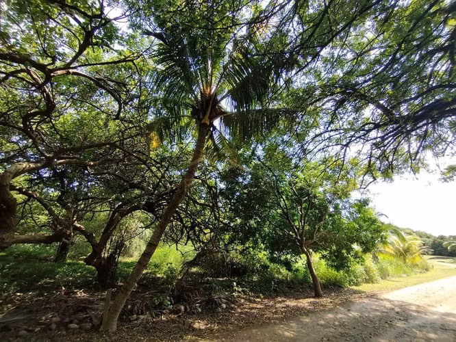 Atractiva Propiedades de Playa en venta en El Viejo, Chinandega