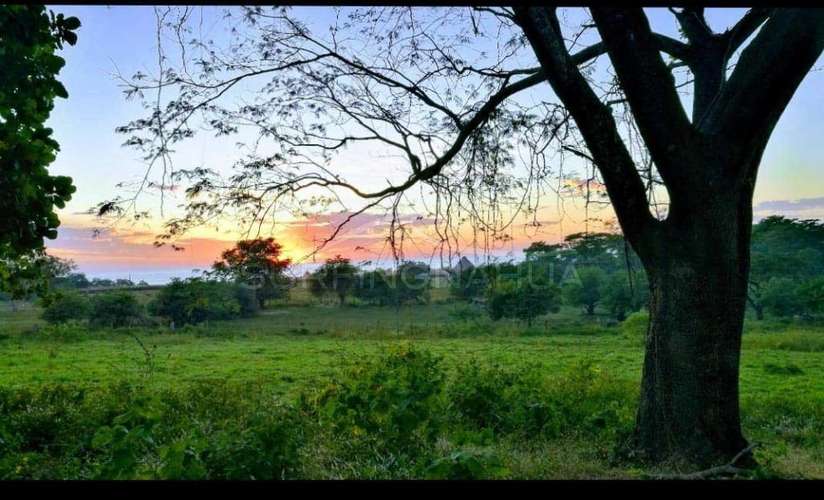 Excelente Propiedades de Playa en venta en El Viejo, Chinandega