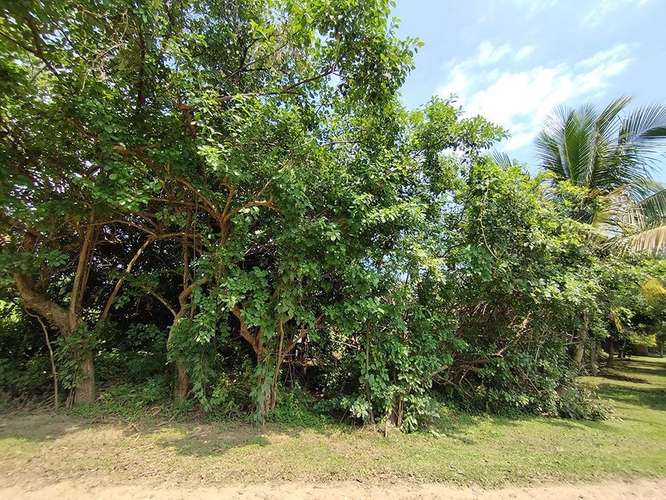 Excelente Propiedades de Playa en venta en El Viejo, Chinandega
