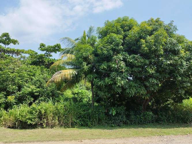 Excelente Propiedades de Playa en venta en El Viejo, Chinandega