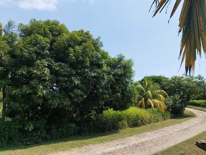 Excelente Propiedades de Playa en venta en El Viejo, Chinandega