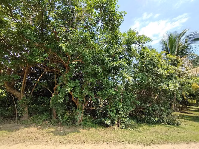Excelente Propiedades de Playa en venta en El Viejo, Chinandega