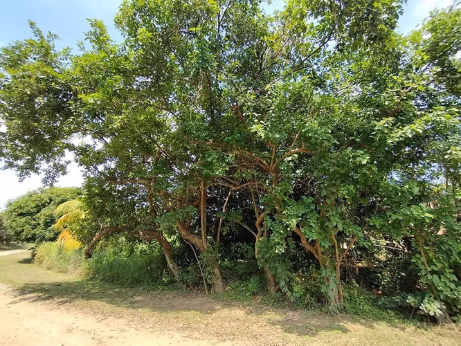 Excelente Propiedades de Playa en venta en El Viejo, Chinandega
