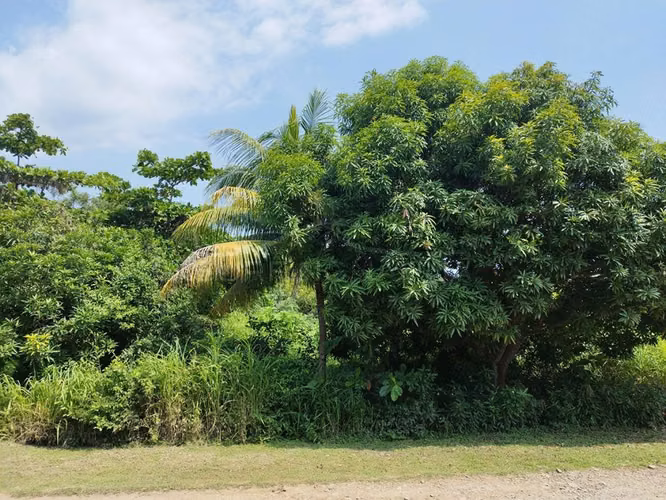 Excelente Propiedades de Playa en venta en El Viejo, Chinandega
