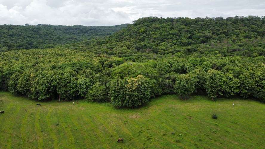 Excelente Terreno en venta en El Viejo, Chinandega