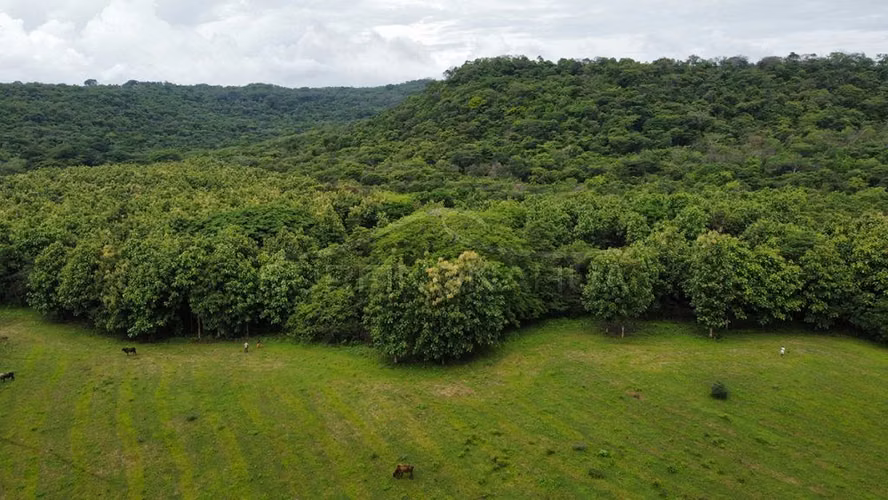 Excelente Terreno en venta en El Viejo, Chinandega - Imagen 6