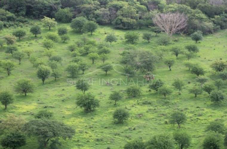 Bien ubicado Terreno en venta en El Viejo, Chinandega
