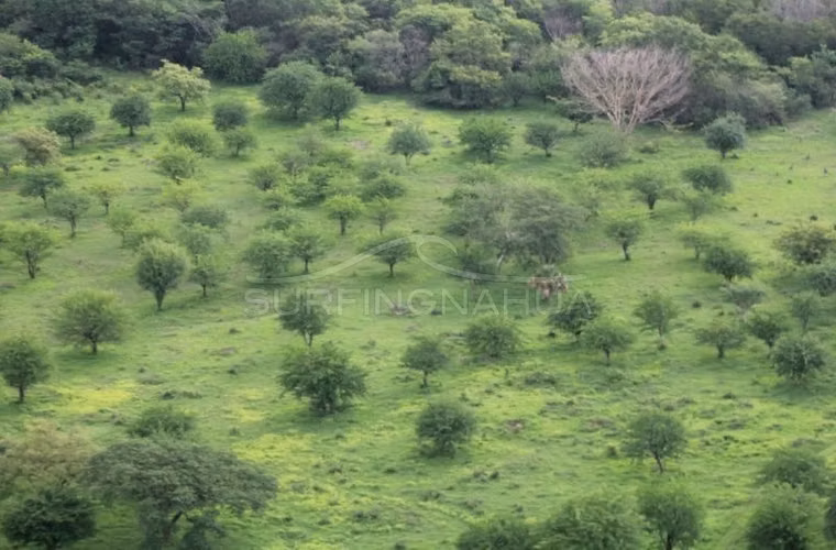 Bien ubicado Terreno en venta en El Viejo, Chinandega