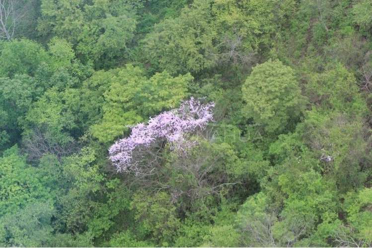 Bien ubicado Terreno en venta en El Viejo, Chinandega