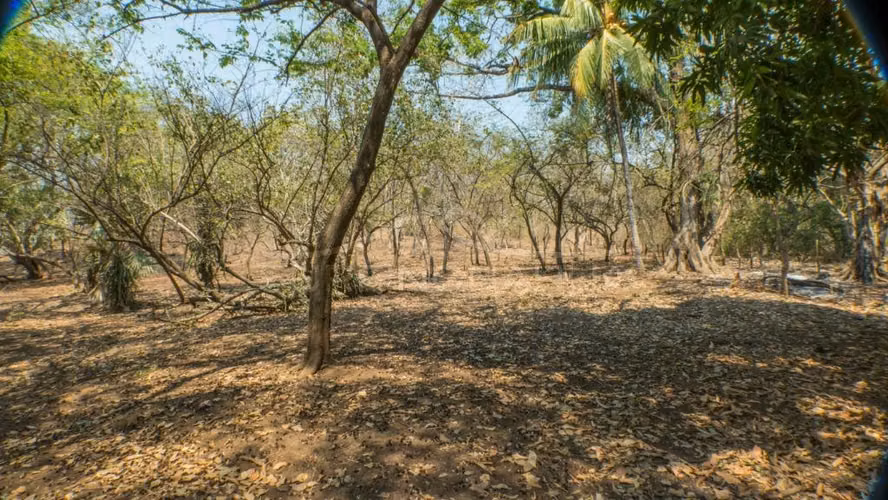 Atractiva Propiedades de Playa en venta en El Viejo, Chinandega
