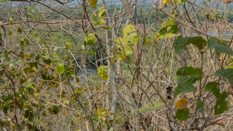 Atractiva Propiedades de Playa en venta en El Viejo, Chinandega