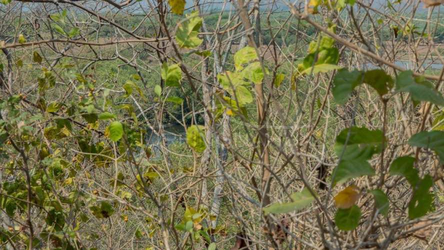 Atractiva Propiedades de Playa en venta en El Viejo, Chinandega