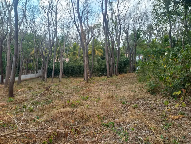 Hermoso Terreno en Venta en Carretera Sur - Imagen 2