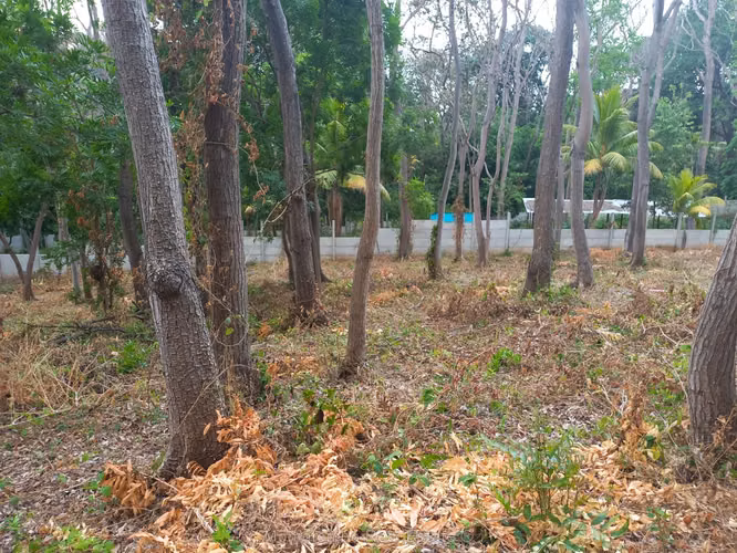Hermoso Terreno en Venta en Carretera Sur - Imagen 11