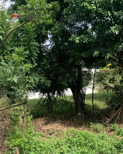 ¡En venta! Terreno a 150mt de carretera, en el Residencial "Los Altos" km. 39, Masaya. - Imagen 6