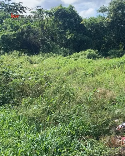 ¡En renta! Amplio terreno sobre la carretera Managua - Masaya, km. 30.2 banda derecha.