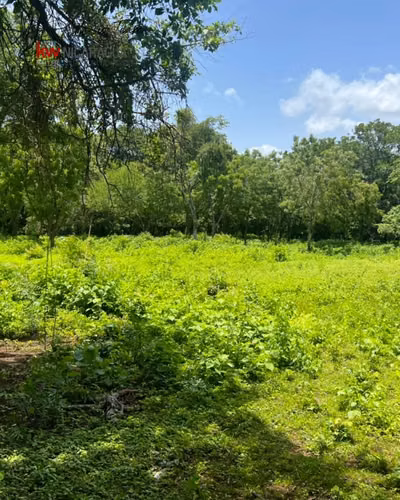 ¡En venta! GANGA Terreno en Campuzano, el Portillo, Nindirí. - Imagen 4