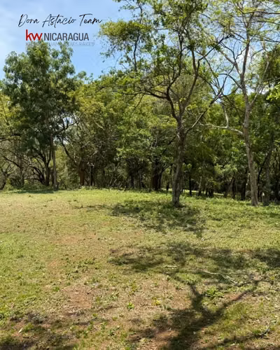 ¡En venta! GANGA Terreno en Campuzano, el Portillo, Nindirí. - Imagen 6