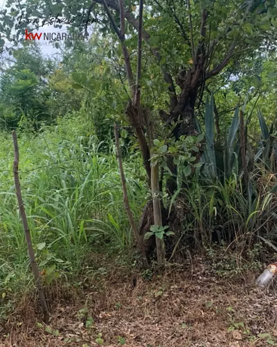 ¡En venta! Terreno ubicada en Comarca Los Madrigales, Veracruz. - Imagen 3