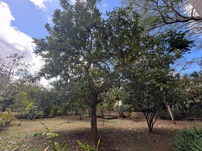 Venta de Quinta en Jinotepe
