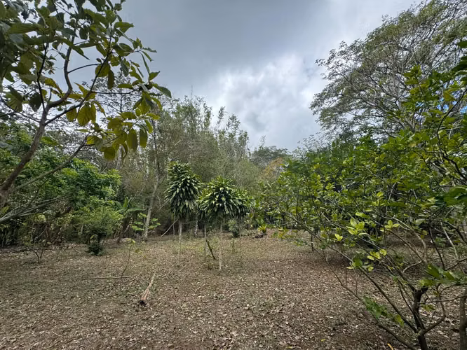 Venta de Quinta en Jinotepe