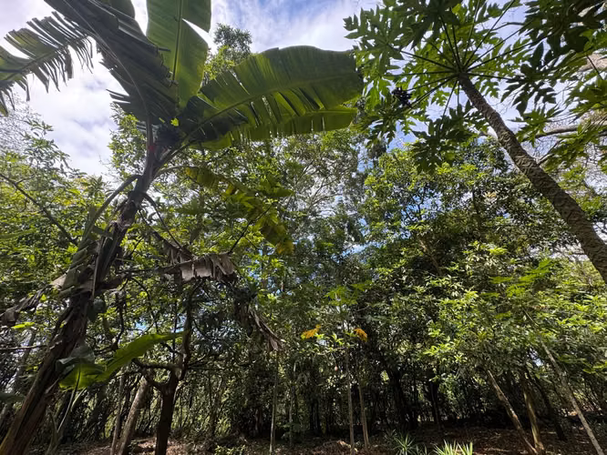 Venta de Quinta en Jinotepe