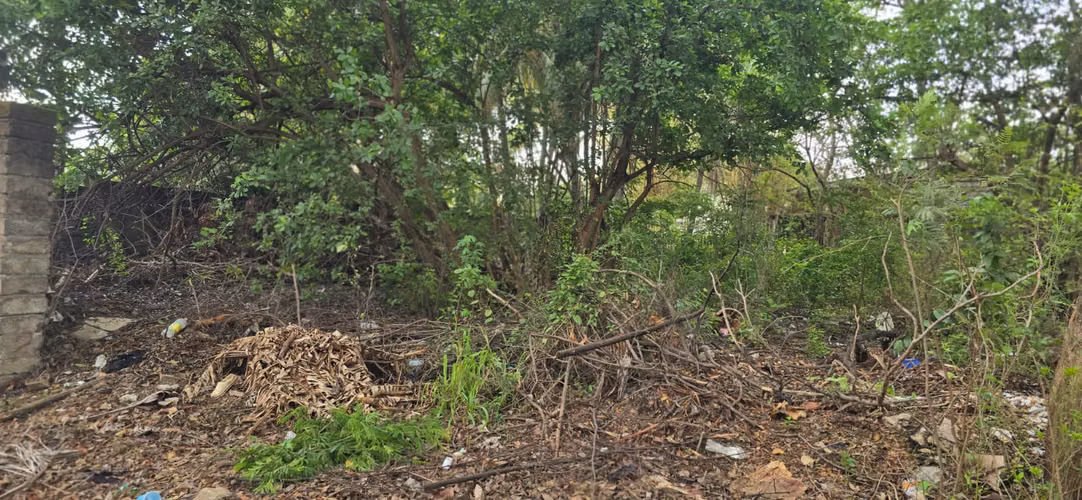 Venta de terreno en Carretera Sur - Imagen 4