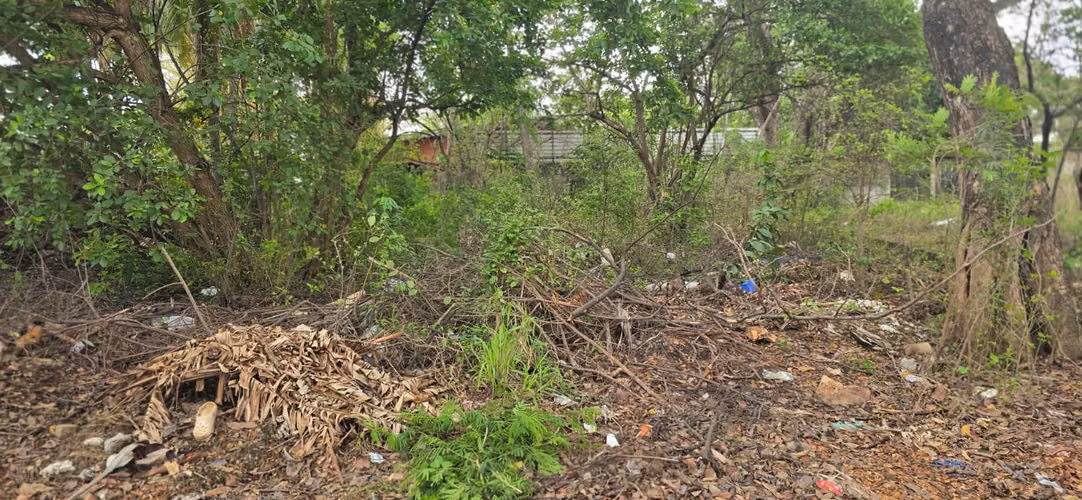 Venta de terreno en Carretera Sur - Imagen 5