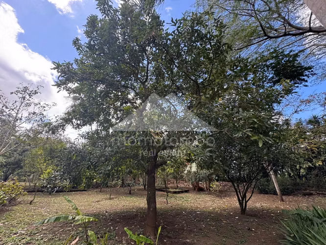 Quinta en Venta Jinotepe, Jinotepe - Imagen 17